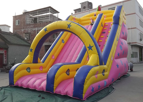 Mainan Outdoor Inflatable yang Disesuaikan Tipe Slide Panjang untuk Anak Hiburan
